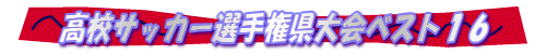 高校サッカー選手権県大会ベスト16